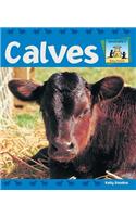 Calves