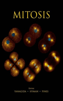 Mitosis