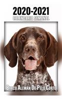 2020-2021 Calendario Semanal Braco alemán de pelo corto