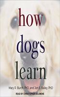 How Dogs Learn