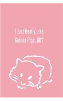 I Just Really Like Guinea Pigs, OK?