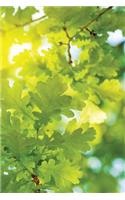 Leaf-Light Notebook: Blank Journal Diary Memoir Log Logue(48 Go Green 150 Lined)