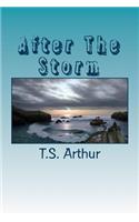 After the Storm