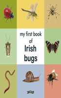My First Book of Irish Bugs: (First Steps)