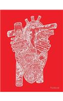 Notebook: Red Rainbow Anatomical Heart - College Ruled, 50 Sheets / 100 Pages, 7.44 X 9.69