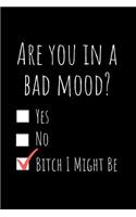 Are You in a Bad Mood? Yes No Bitch I Might Be
