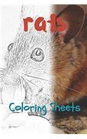 Rat Coloring Sheets: 30 Rat Drawings, Coloring Sheets Adults Relaxation, Coloring Book for Kids, for Girls, Volume 6
