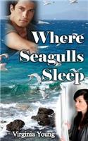 Where Seagulls Sleep