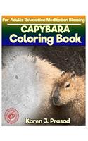 CAPYBARA Coloring book for Adults Relaxation Meditation Blessing: Sketch coloringbook Grayscale Pictures