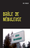 Drôle de nébuleuse: Les aventures du commissaire Paul Berger