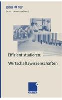 Effizient studieren: Wirtschaftswissenschaften