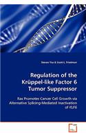 Regulation of the Krüppel-like Factor 6 Tumor Suppressor