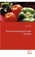 Protein Purification From Tomato