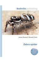 Zebra Spider