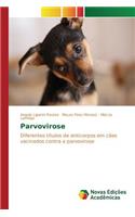 Parvovirose
