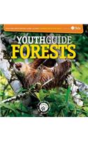 The youth guide to forests