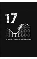 17th Birthday It's All Downhill From Here: with MORE space for writing and drawing, and positive sayings! birthday designs, you can explore the marketplace for gift, christmas, and vintage / 