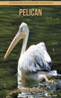 Pelican