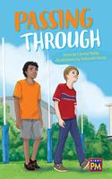 Passing Through: Bookroom Package Sapphire Level 30 Grades 4-5