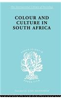 Colour and Culture in South Africa