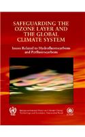 Safeguarding the Ozone Layer and the Global Climate System