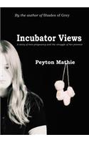 Incubator Views: A Story of Teen Pregnancy and the Struggle of her Preemie