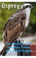 Osprey Five Minutes Per Day Easy Daily Journal With Guided Prompts: Easy To Stick With It. Just Write A Couple Of Lines At End Of Day To Log, Document, Inspire - Journaling For The Time Challenged (CQS.0409)