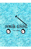 Corneille Estates Fire Island