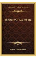 Rose of Auzenburg