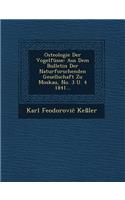Osteologie Der Vogelfusse