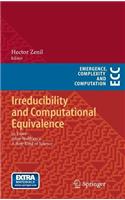 Irreducibility and Computational Equivalence: 10 Years After Wolfram's a New Kind of Science: (Emergence, Complexity and Computation)