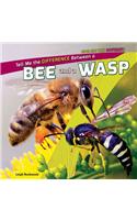 Tell Me the Difference Between a Bee and a Wasp: (How Are They Different?)