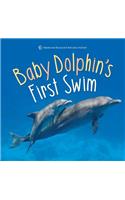 Baby Dolphin's First Swim