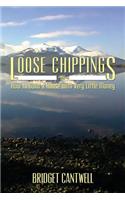 Loose Chippings or How to Build a House with Very Little Money