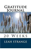 Gratitude Journal 20