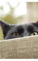 Cat Peeping over the Fence Journal: 150 Page Lined Notebook/Diary