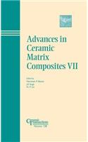 Advances in Ceramic Matrix Composites