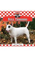 Bull Terriers
