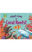 What Lives in Coral Reefs?