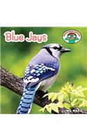 Blue Jays