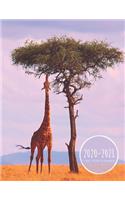 Two Year Planner 2020-2021: Long Neck Giraffe Planner January 1, 2020 to December 31, 2021 Weekly & Monthly Planner + Calendar Views Exotic Animal 2 Year Calendar 24 Month Agen