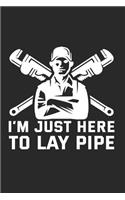 IMjust Here To Lay Pipe