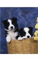 School Composition Book Two Puppies Basket Dog Photo 200 Pages: (Notebook, Diary, Blank Book)(Pet Photo Composition Notebooks)