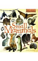Small Mammals: (Wildlife Watchers)