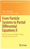 From Particle Systems to Partial Differential Equations II