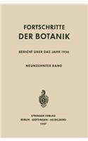 Bericht Uber Das Jahr 1956