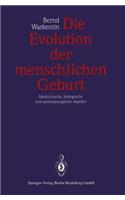 Die Evolution Der Menschlichen Geburt