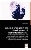 Dynamic Changes in the Development of Prefrontal Networks