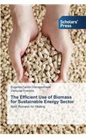 Efficient Use of Biomass for Sustainable Energy Sector