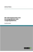 Der Informationsweg vom Kurzeitgedächtnis zum Langzeitgedächtnis